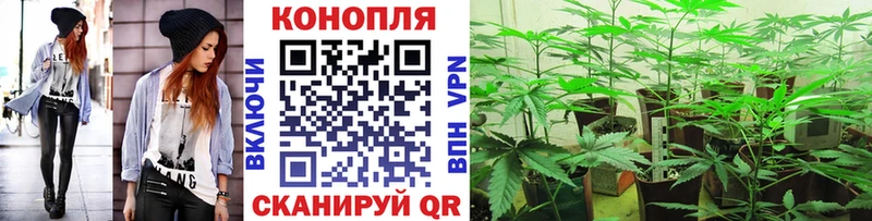 наркотики  Староминская  Шишки марихуана планчик 